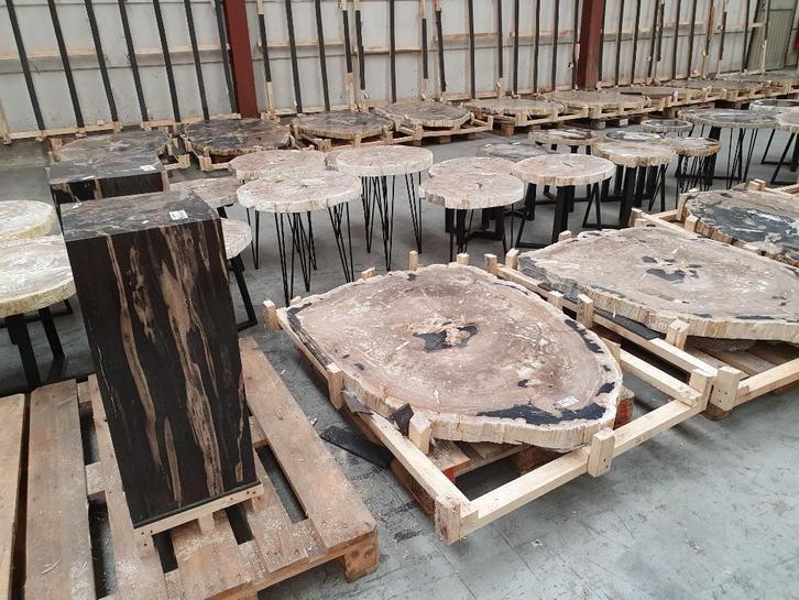 Grote partij versteend hout te koop uit eigen voorraad, Verzamelen, Mineralen en Fossielen, Fossiel, Ophalen