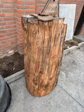 Boomstammen als decoratie of stookhout beschikbaar voor biedingen