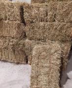 Hooi te koop Biologisch kruidenrijk paarden hooi - onbemest, Ophalen