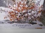 Aquarel/litho Erg Mooie Aquarel/litho Jean Marc CHAMARD, Ophalen