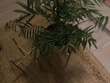 Plantenpot standaard plantenverhoger rekjes 2 x goudkleur beschikbaar voor biedingen