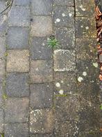 Gebruikte Klinkers - 19,5x19,5x5,5 cm - 18,5 m2, Ophalen, Gebruikt, Klinkers, 10 m² of meer