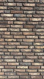 Gevelsteen, Doe-het-zelf en Verbouw, Metselstenen, Ophalen, Zo goed als nieuw, Bakstenen