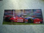 JOS VERSTAPPEN F1 Poster, Verzenden, Zo goed als nieuw, Formule 1