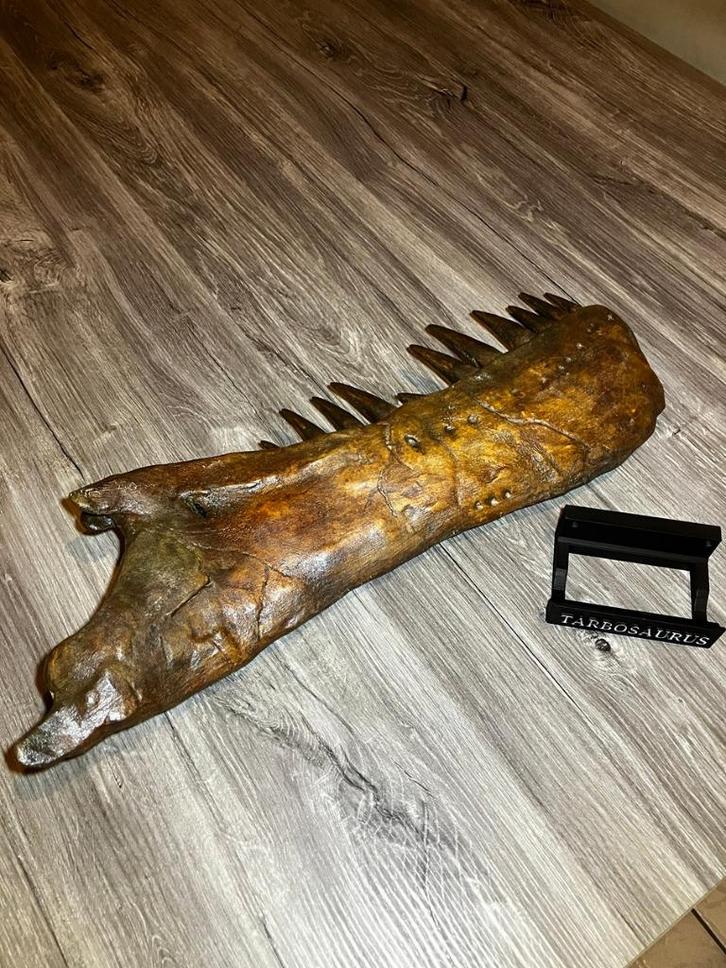 Replica Dinosaurus kaak - Tarbosaurus, Verzamelen, Mineralen en Fossielen, Fossiel, Verzenden