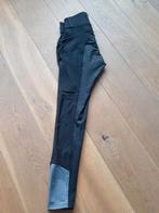 Felix Buhler Paardrijbroek, Ophalen of Verzenden, Zo goed als nieuw, Maat 34 (XS) of kleiner, Overige typen