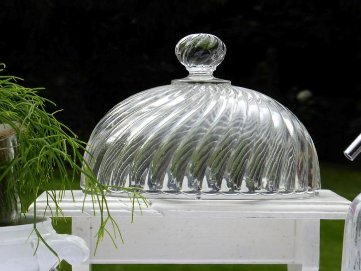 Aparte en zeldzame oude OVALE glazen STOLP  cloche, Antiek en Kunst, Curiosa en Brocante, Ophalen of Verzenden