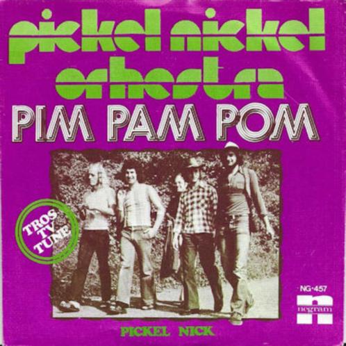 PICKEL NICKEL ORCHESTRA 1974 ZELDZAME NEDERPOP P876, Cd's en Dvd's, Vinyl Singles, Single, 7 inch, Ophalen of Verzenden