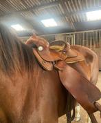 Westernzadel Deuter & Partner + toebehoren - ook los te koop, Dieren en Toebehoren, Ophalen of Verzenden, Gebruikt, Western