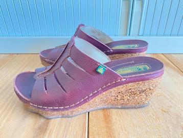 El Naturalista maat 37 beschikbaar voor biedingen