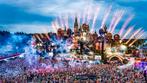 8x Tomorrowland W1: Glorious Sunday Pass - Tickets, Tickets en Kaartjes, Evenementen en Festivals, Drie personen of meer