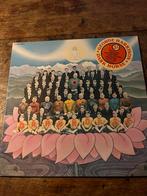 LP George Harrison- Dark Horse, Ophalen of Verzenden, 1960 tot 1980, Zo goed als nieuw