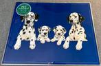 6x Placemat Dalmatier 55x42cm, Dieren en Toebehoren, Nieuw, Ophalen of Verzenden, Nvt, Nvt