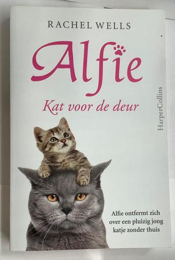 Alfie , kat over de vloer. beschikbaar voor biedingen