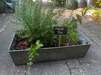 Moestuin in Zinken Bak, Ophalen, Minder dan 30 cm, Minder dan 60 cm, Zo goed als nieuw
