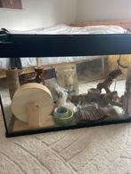 Hamsterkooi met accessoires, Ophalen