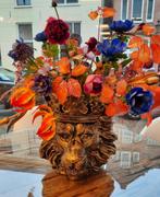 Leeuwenhoofd met kunstplanten, Ophalen, Nieuw, Binnen