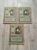 Plaatjesalbums Vaderlandsche historie, Boeken, Prentenboeken en Plaatjesalbums, Verzenden, Gelezen, C van Son, Plaatjesalbum