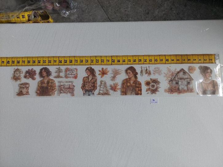 1 Loop Pet tape P6, Hobby en Vrije tijd, Scrapbooking, Nieuw, Versiering of Embellishment, Ophalen