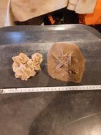 2 woestijn rozen, Ophalen of Verzenden