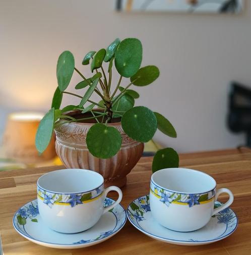 Set van 2 Villeroy & Boch Althea Regensburg Kop en Schotels, Verzamelen, Porselein, Kristal en Bestek, Zo goed als nieuw, Compleet servies