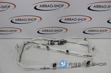 Volkswagen Tiguan Hemelairbag Dak Airbag Links 5NA880741H beschikbaar voor biedingen