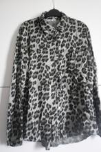 Zo goed als nieuwe heel mooie en leuke blouse. Maat S/36., Ophalen of Verzenden, Zo goed als nieuw, Typical Jill, Maat 36 (S)