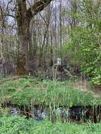 Bosgrond te koop in Leunen, Leunen, Verkoop zonder makelaar, 1500 m² of meer