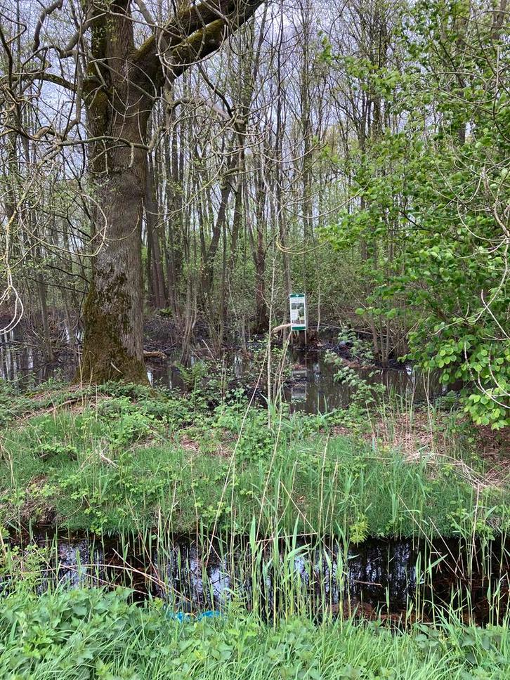 Bosgrond te koop in Leunen, Huizen en Kamers, Kavels en Percelen, 1500 m² of meer, Verkoop zonder makelaar