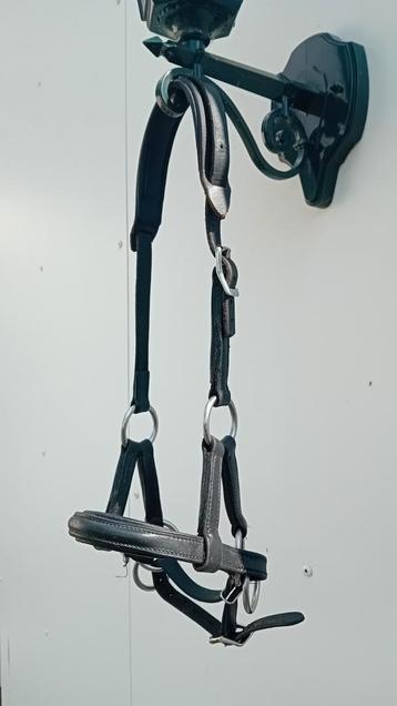 Bitloos sidepull hoofdstel leer, maat Pony beschikbaar voor biedingen