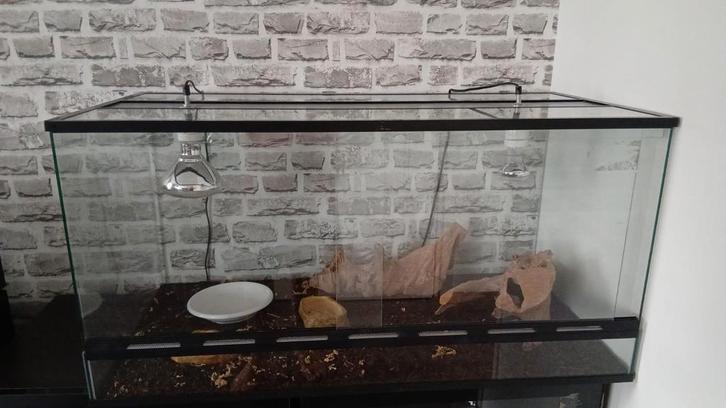 Terrarium, Dieren en Toebehoren, Reptielen en Amfibieën | Toebehoren, Ophalen