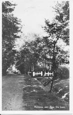 Renesse aan Zee De Laan.   1951, Ophalen of Verzenden, 1940 tot 1960, Gelopen, Zeeland