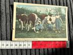 39. Oude Kaart klederdracht Z.Belenlandsche Zeeland, Ophalen of Verzenden, Voor 1920, Klederdracht