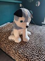 Knuffel XXL 80 cm, Ophalen, Gebruikt, Overige typen
