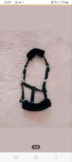 Veulen/fallabella halster, Dieren en Toebehoren, Ophalen of Verzenden, Zo goed als nieuw, Overige soorten