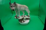 Beeld Wolf, Verzamelen, Beelden en Beeldjes, Ophalen of Verzenden, Zo goed als nieuw, Dier