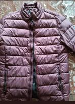 Bordeau rood/Aubergine winterjas maat S, Kleding | Heren, Jassen | Winter, Ophalen of Verzenden, Zo goed als nieuw, The Sting
