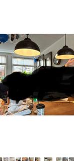 Lampen, Ophalen of Verzenden, Zo goed als nieuw, Minder dan 50 cm