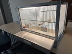 Broedkooi, Dieren en Toebehoren, Ophalen, Kunststof, Broedkooi of Kweekkooi