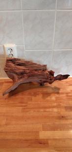 Aquarium tropische hard hout, Ophalen of Verzenden, Plant(en), Steen of Hout