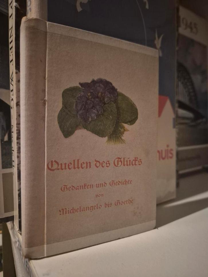 Quellen des Glücks - Michelangelo tot Goethe, Boeken, Gedichten en Poëzie, Gelezen, Meerdere auteurs, Ophalen of Verzenden