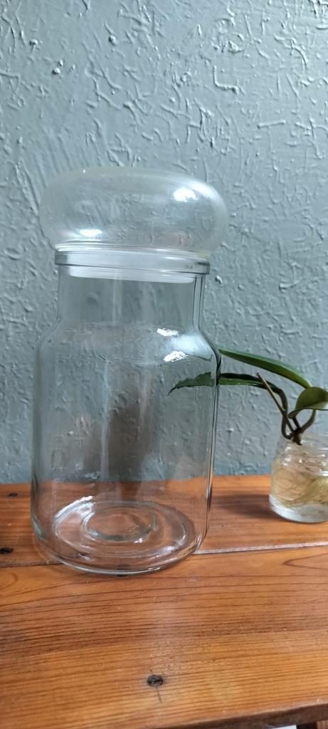 Vintage glazen voorraadpot, Huis en Inrichting, Woonaccessoires | Stolpen, Gebruikt, Ophalen of Verzenden