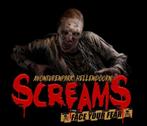 4 V.I.P. Tickets - Hellendoorn (Halloween Screams), Drie personen of meer, Ticket of Toegangskaart