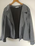 jasje grijs mt xl suede look, Maat 46/48 (XL) of groter, Ophalen of Verzenden, Zo goed als nieuw, Grijs