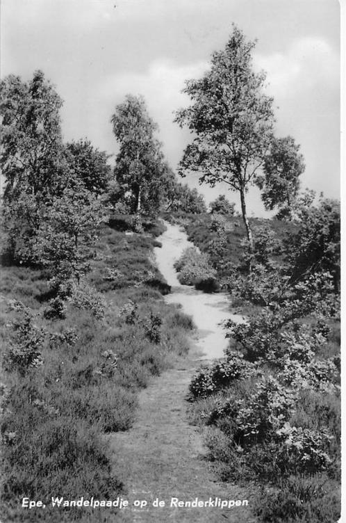 (387-181-039) Epe Dellenhove, Verzamelen, Ansichtkaarten | Nederland, Gelderland, Verzenden