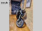 TRIUMPH TIGER 1050 (bj 2007), Bedrijf, 3 cilinders, Sport, 1050 cc