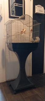 3 harlekijn kanaries met kooi, Ophalen of Verzenden, Zo goed als nieuw, Kunststof, Vogelkooi