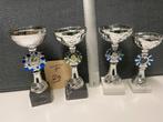 Trofeeën/wedstrijdbekers/sportprijzen/bokalen, set 29, Ophalen of Verzenden, Gebruikt