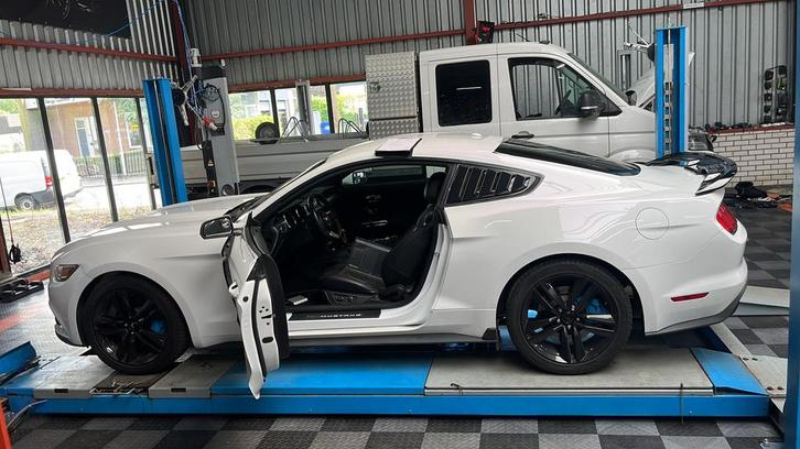 Chiptuning Adblue uitschakelen ook op locatie!, Diensten en Vakmensen, Auto en Motor | Monteurs en Garages, Overige werkzaamheden