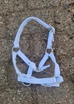 Te koop witte shetlander en falabella veulen halsters, ., Ophalen of Verzenden, ., .